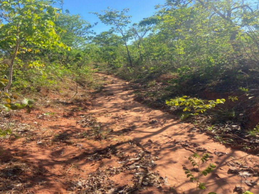 Imagem 5 do Leilão de Área Rural - Área Rural de Luislândia - Luislândia/MG