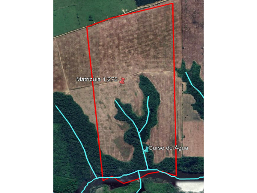 Imagem 1 do Leilão de Área Rural - Zona Rural - Tailândia/PA