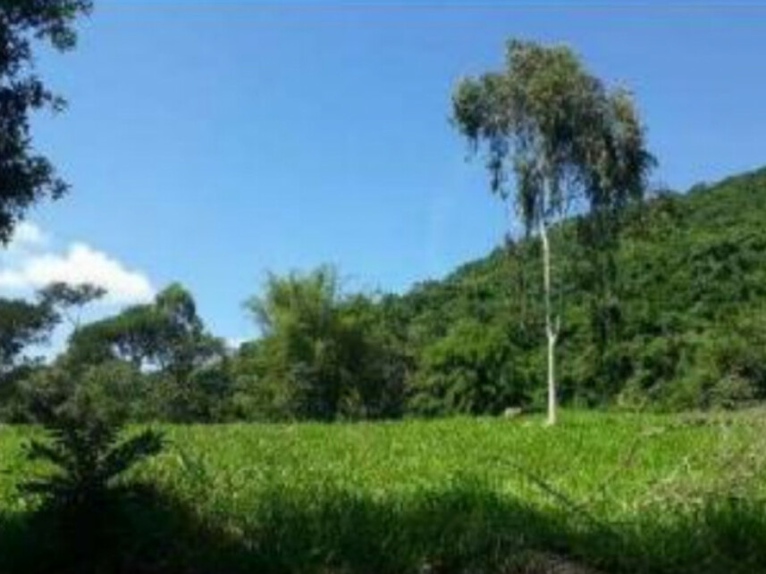 Imagem 1 do Leilão de Chácara - Firminada - Monte Sião/MG