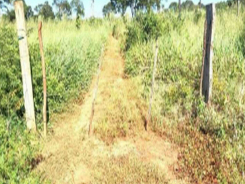 Imagem 2 do Leilão de Área Rural - Zona Rural - Estreito/MA