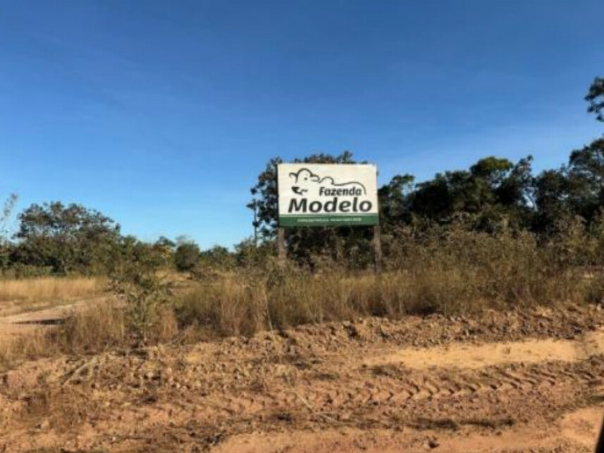 Imagem 8 do Leilão de Área Rural - Zona Rural - Goianorte/TO
