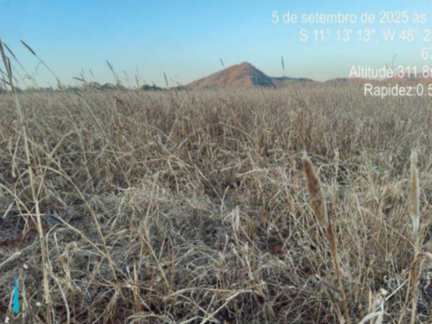 Imagem 2 do Leilão de Área Rural - Zona Rural - Ipueiras/TO
