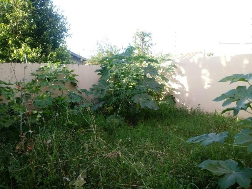 Imagem 8 do Leilão de Casa - Nova Campo Grande - Campo Grande/MS