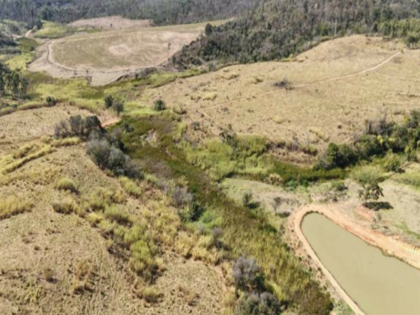 Imagem 6 do Leilão de Área Rural - Sítio Santa Maria - São José do Rio Pardo/SP