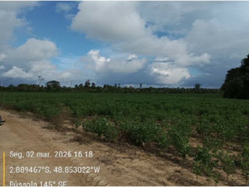 Imagem 12 do Leilão de Área Rural - Zona Rural - Tailândia/PA