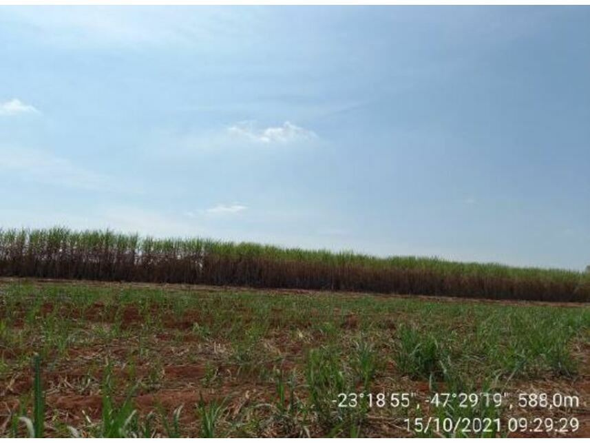 Imagem 1 do Leilão de Área Rural - Zona Rural - Porto Feliz/SP