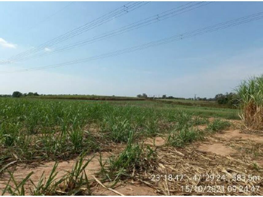 Imagem 12 do Leilão de Área Rural - Zona Rural - Porto Feliz/SP