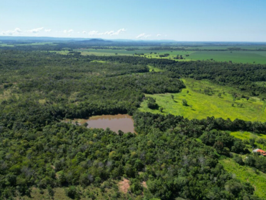 Imagem 3 do Leilão de Área Rural - Zona Rural - Pugmil/TO