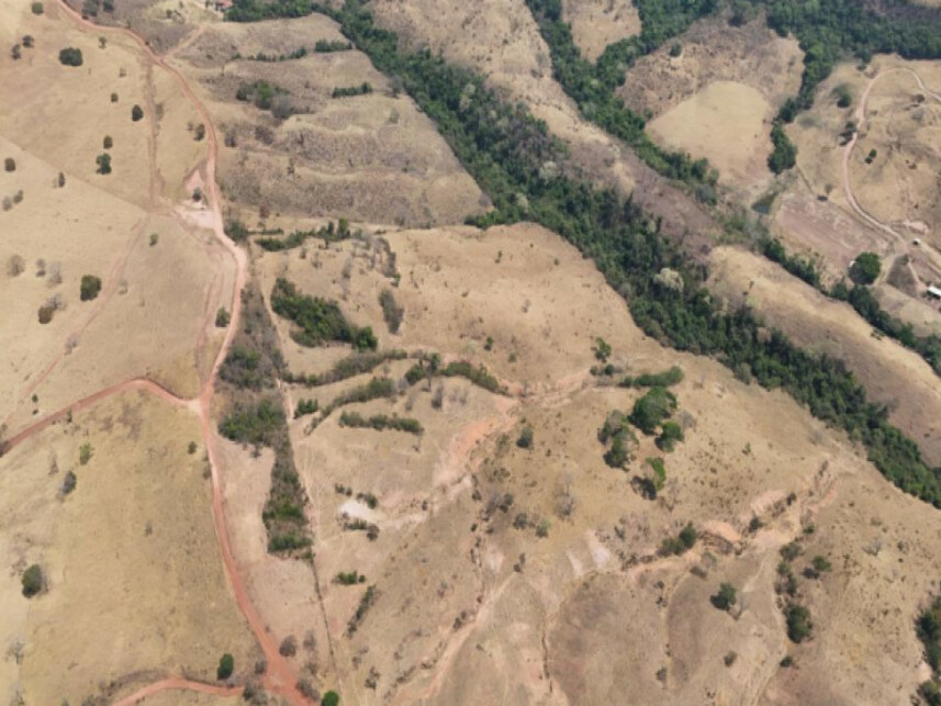 Imagem 3 do Leilão de Área Rural - Zona Rural - Pires do Rio/GO