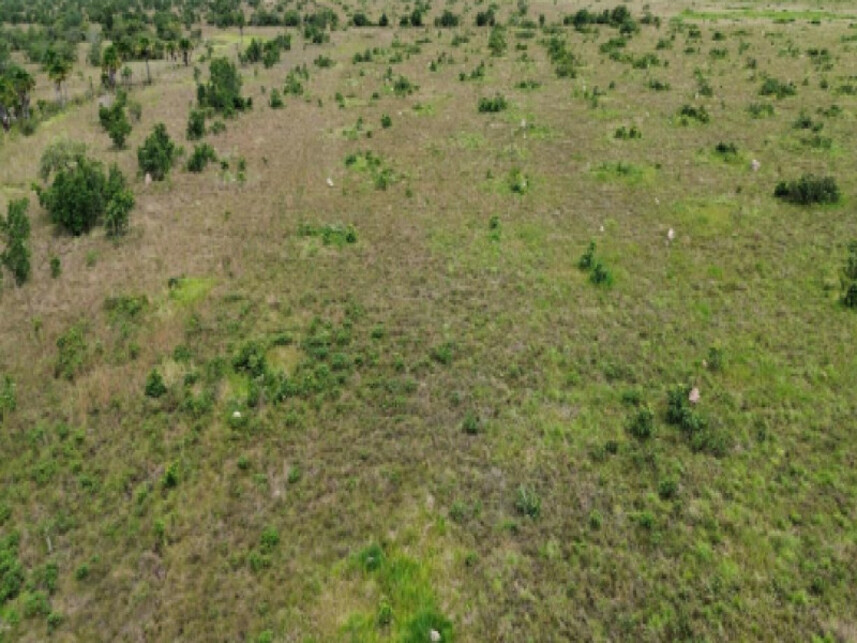 Imagem 3 do Leilão de Área Rural - Zona Rural - São Félix do Araguaia/MT