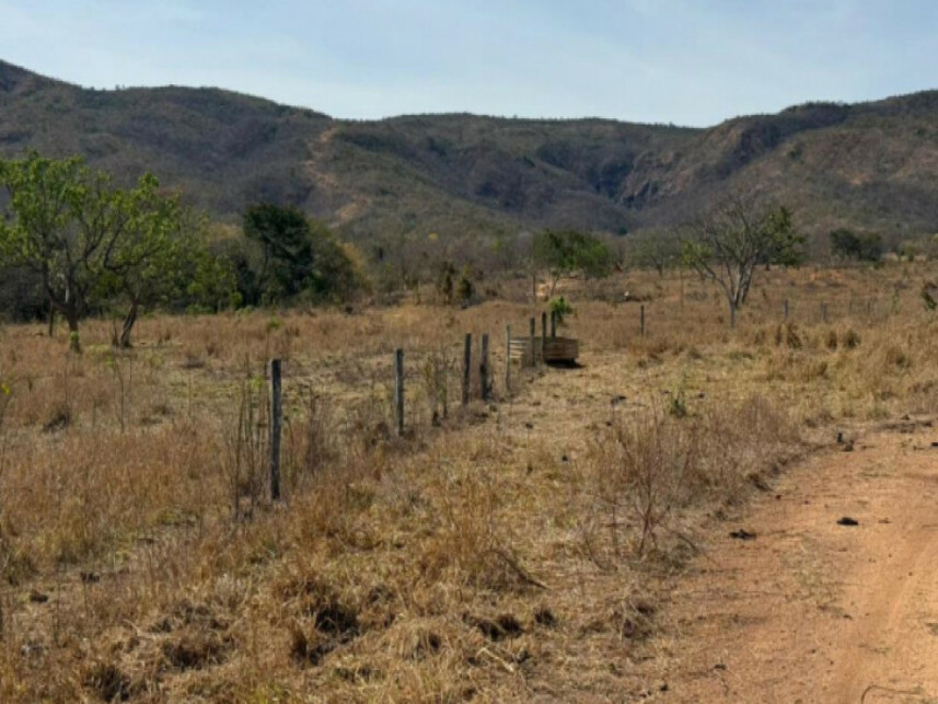 Imagem 5 do Leilão de Área Rural - Zona Rural - Buritis/MG