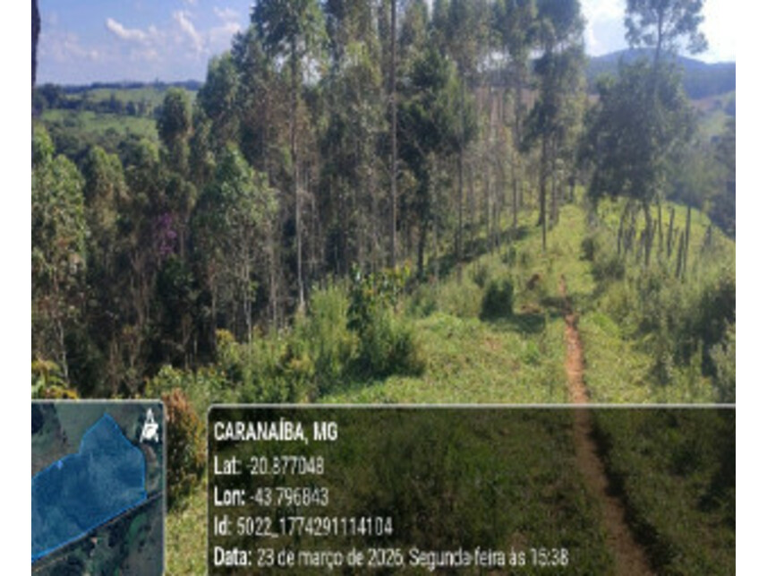 Imagem 3 do Leilão de Área Rural - Zona Rural - Caranaíba/MG