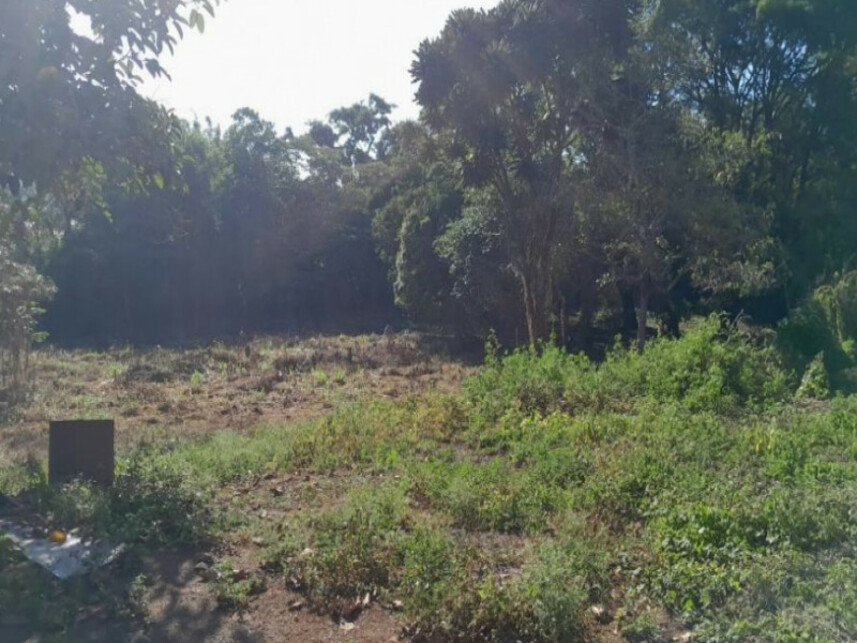 Imagem 3 do Leilão de Terreno - Centro - Pains/MG