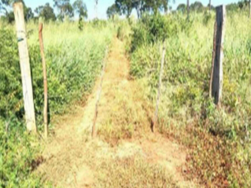 Imagem 1 do Leilão de Área Rural - Zona Rural - Estreito/MA