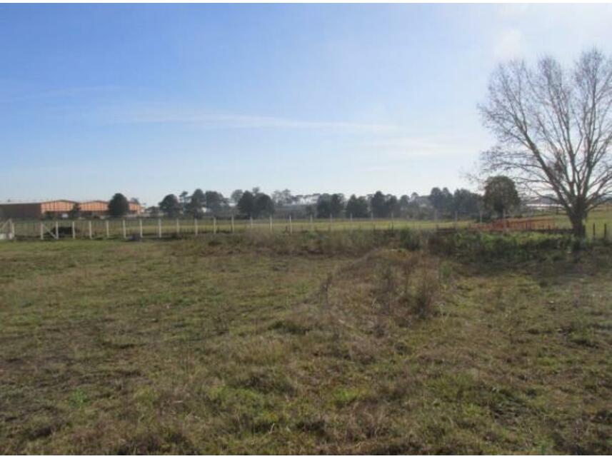 Imagem 10 do Leilão de Terreno c/benfeitorias - Costeira - São José dos Pinhais/PR