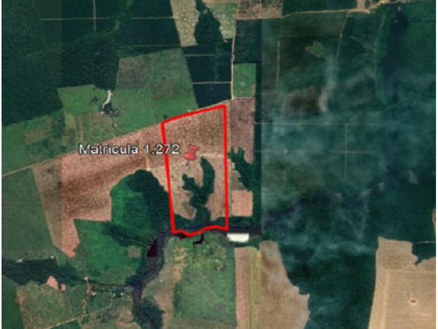 Imagem 2 do Leilão de Área Rural - Zona Rural - Tailândia/PA