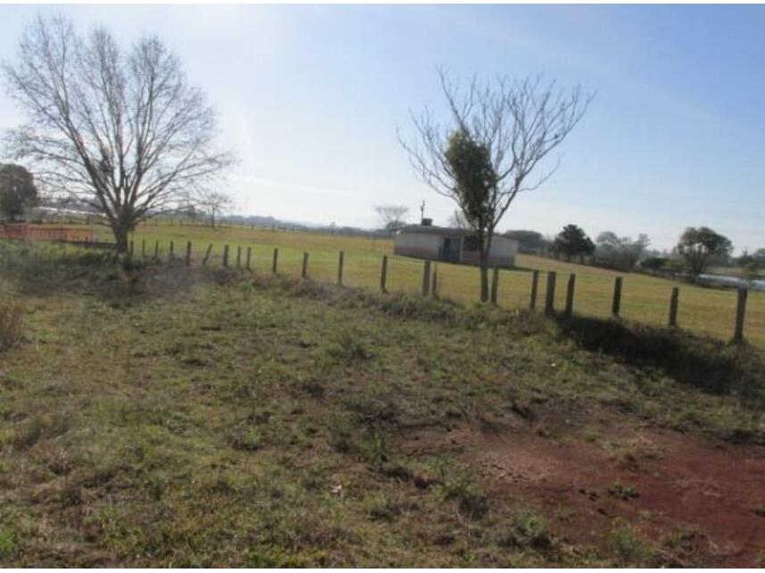 Imagem 9 do Leilão de Terreno c/benfeitorias - Costeira - São José dos Pinhais/PR