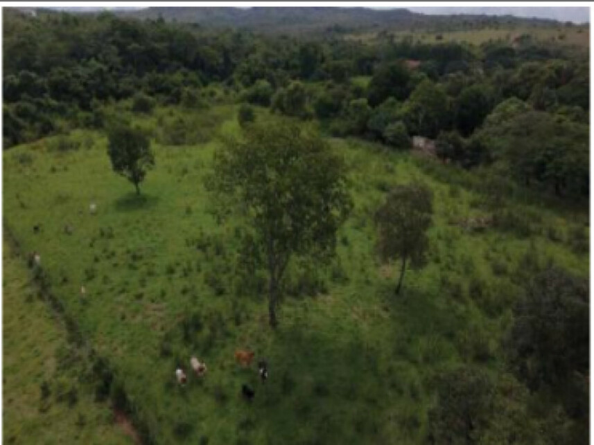 Imagem 8 do Leilão de Área Rural - Zona Rural - Brasilia/DF