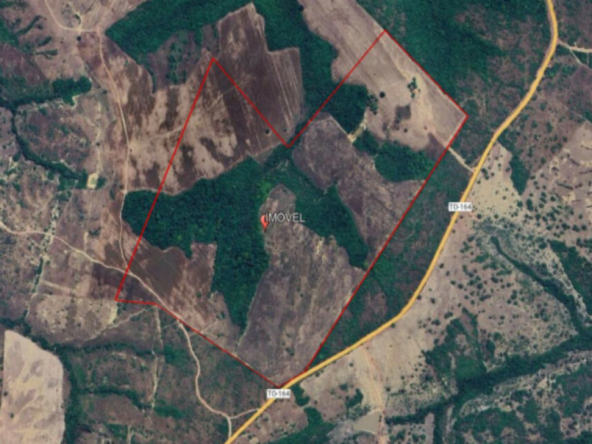 Imagem 1 do Leilão de Área Rural - Zona Rural - Goianorte/TO