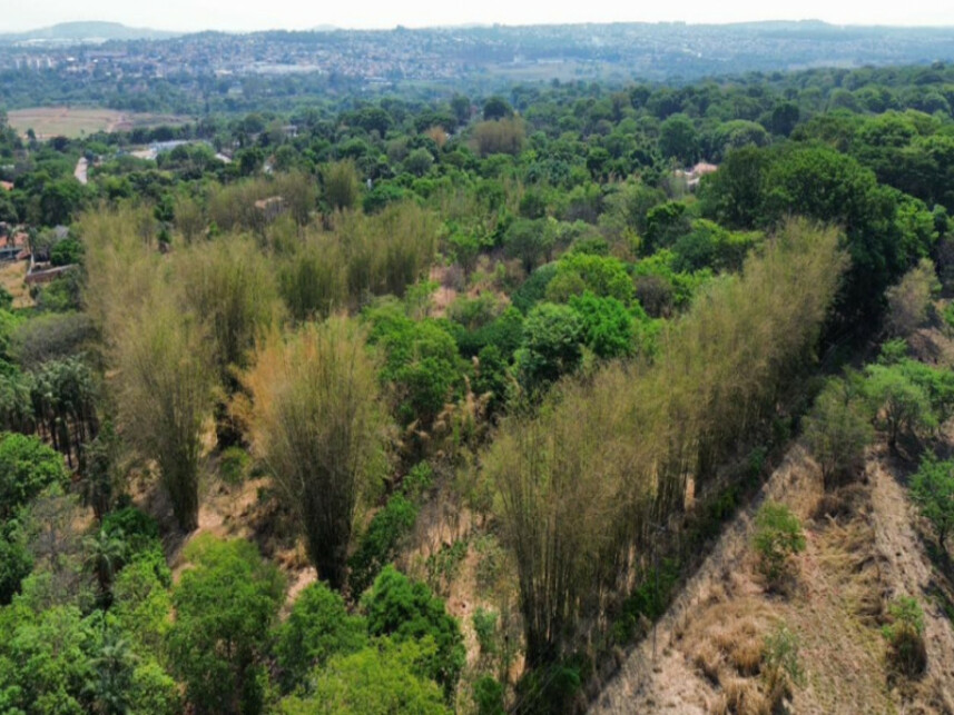 Imagem 1 do Leilão de Área Rural - Fazenda Retiro - Goiânia/GO