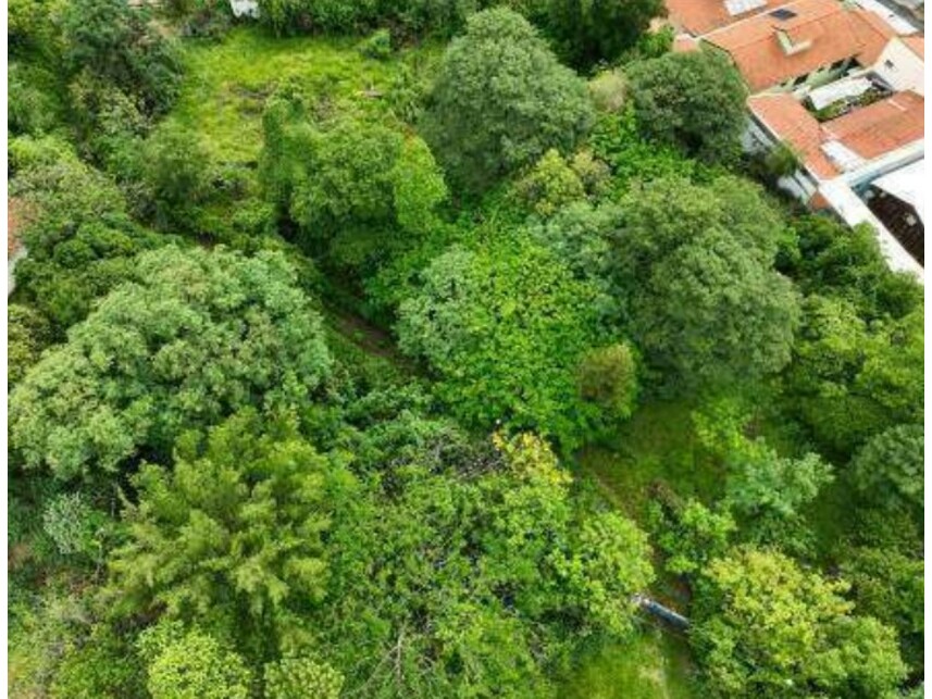Imagem 2 do Leilão de Terreno - Parque Santa Cecília - Piracicaba/SP
