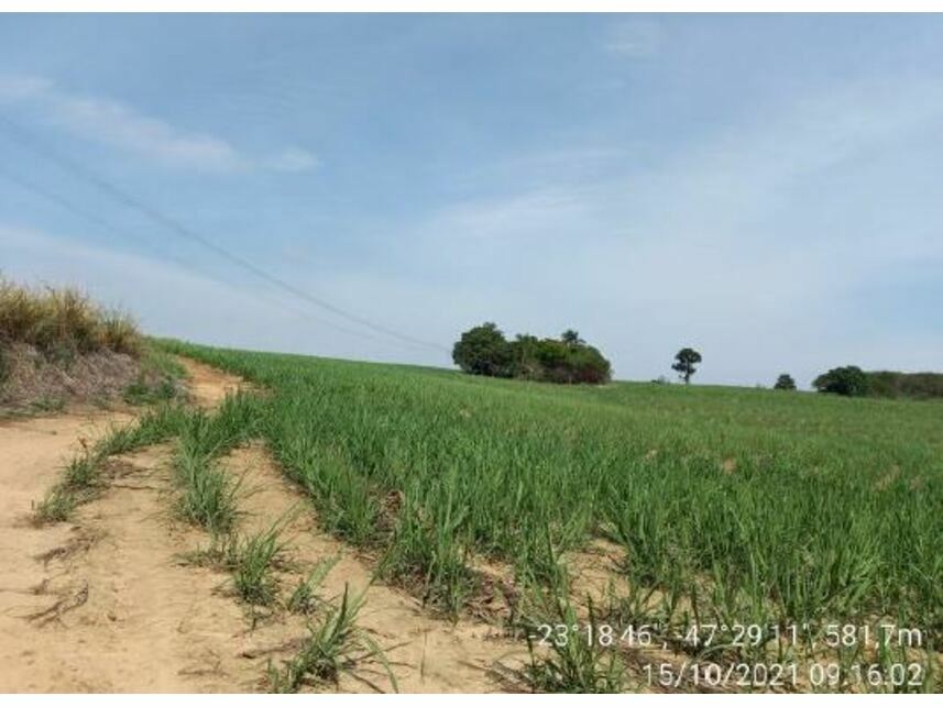 Imagem 18 do Leilão de Área Rural - Zona Rural - Porto Feliz/SP