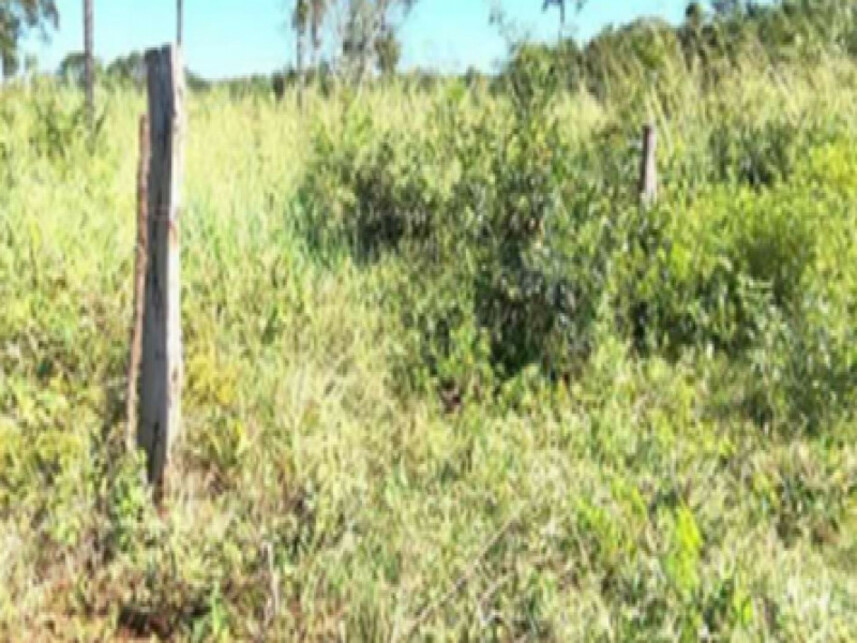Imagem 2 do Leilão de Área Rural - Zona Rural - Estreito/MA