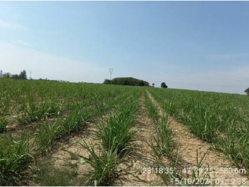 Imagem 13 do Leilão de Área Rural - Zona Rural - Porto Feliz/SP