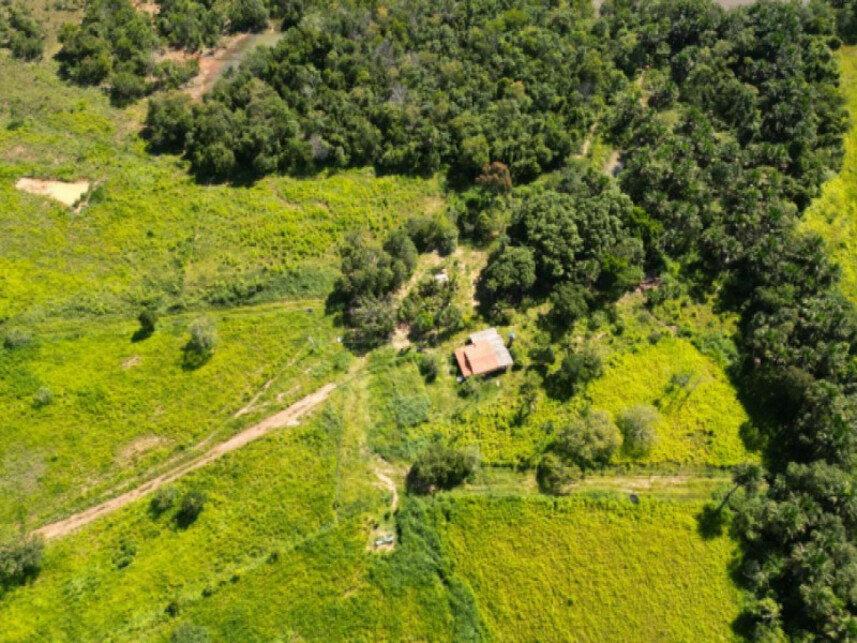 Imagem 4 do Leilão de Área Rural - Zona Rural - Pugmil/TO