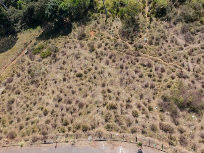Imagem 4 do Leilão de Área Rural - Zona de Expansão Urbana - Goiânia/GO
