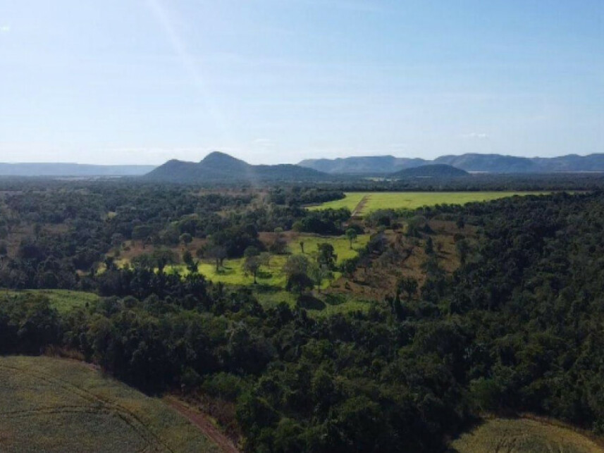 Imagem 3 do Leilão de Área Rural - Zona Rural - Fátima/TO