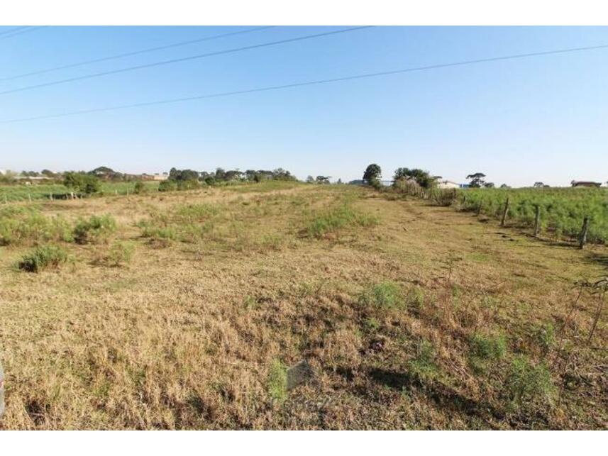 Imagem 21 do Leilão de Terreno c/benfeitorias - Costeira - São José dos Pinhais/PR