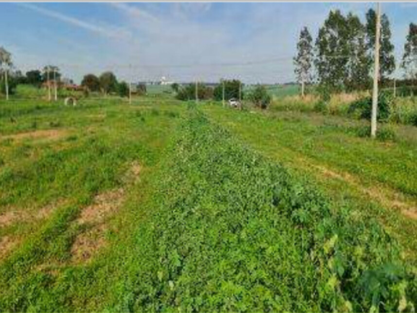 Imagem 2 do Leilão de Terreno - Eco Park Cantoni - Guaiçara/SP
