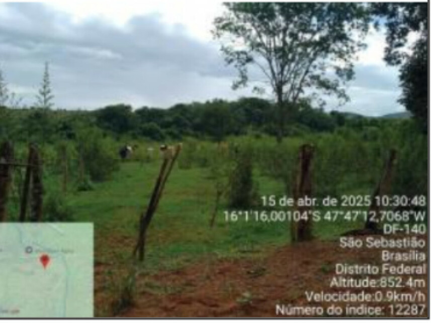Imagem 5 do Leilão de Área Rural - Zona Rural - Brasilia/DF