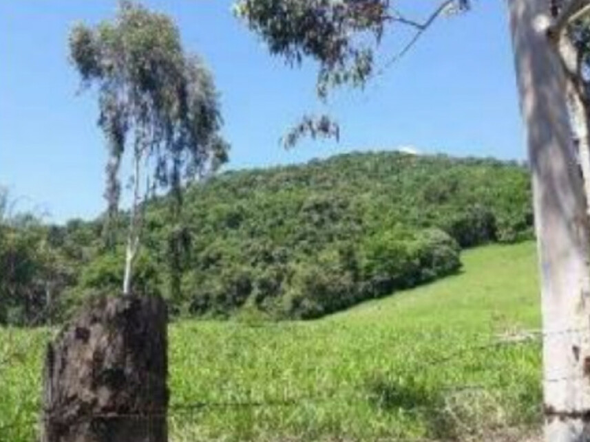 Imagem 2 do Leilão de Chácara - Firminada - Monte Sião/MG