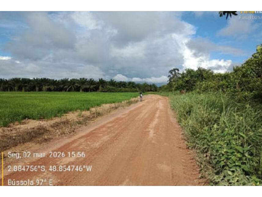 Imagem 5 do Leilão de Área Rural - Zona Rural - Tailândia/PA