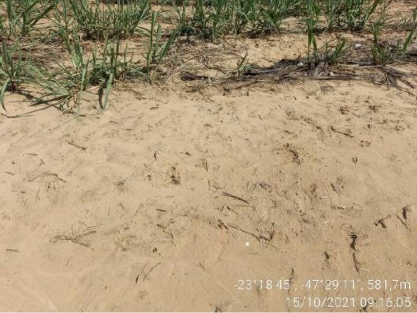 Imagem 17 do Leilão de Área Rural - Zona Rural - Porto Feliz/SP