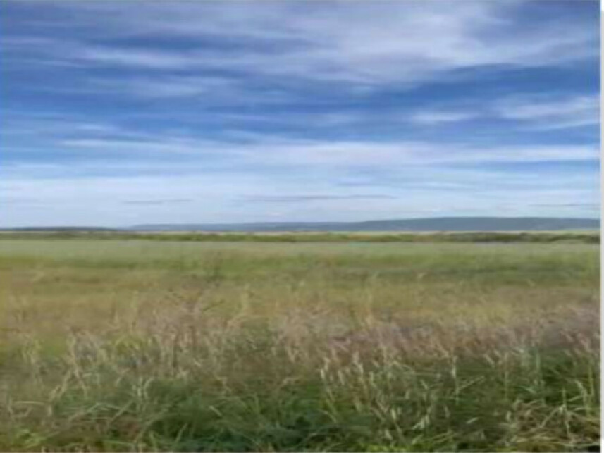 Imagem 5 do Leilão de Fazenda - Zona Rural - Caldas Novas/GO