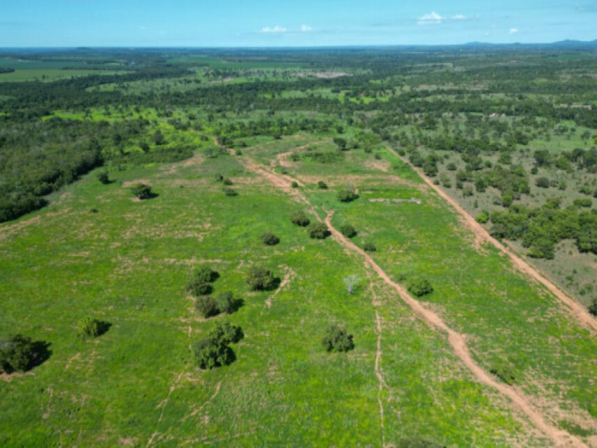 Imagem 5 do Leilão de Área Rural - Zona Rural - Pugmil/TO