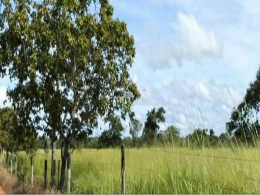 Imagem 5 do Leilão de Área Rural - Loteamento Três Barreiras 2° Etapa - Araguaçu/TO