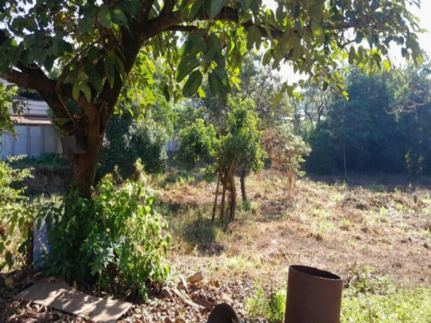 Imagem 4 do Leilão de Terreno - Centro - Pains/MG