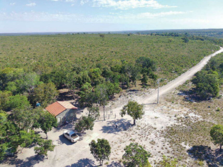 Imagem 1 do Leilão de Fazenda - Zona Rural - Novo Acordo/TO