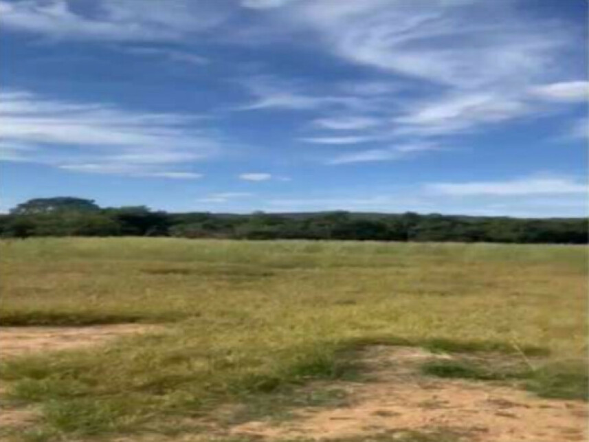 Imagem 10 do Leilão de Fazenda - Zona Rural - Caldas Novas/GO