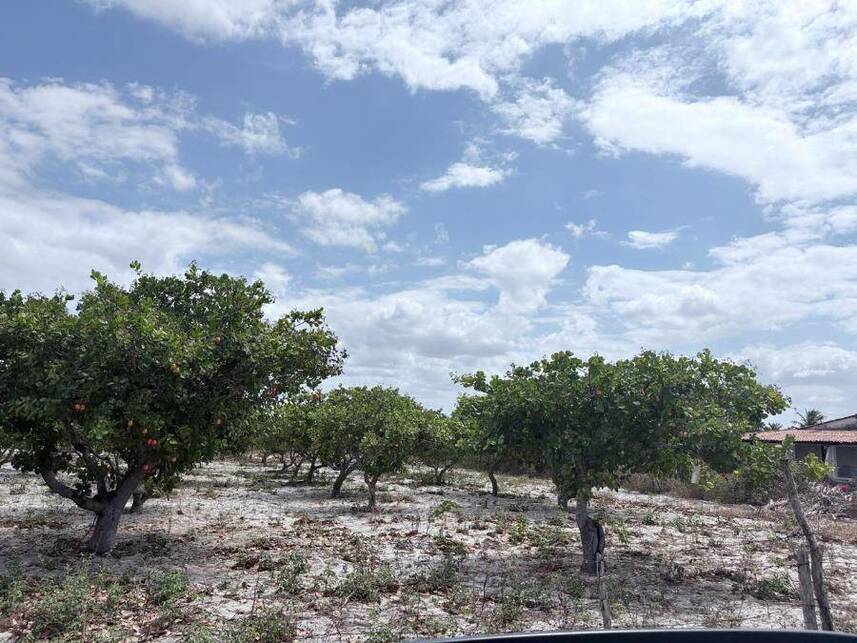 Imagem 3 do Leilão de Terreno - Tiririca - Pacajus/CE