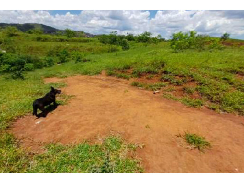 Imagem 16 do Leilão de Gleba de Terras - Parque São Rafael - São Paulo/SP