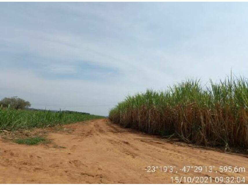 Imagem 7 do Leilão de Área Rural - Zona Rural - Porto Feliz/SP