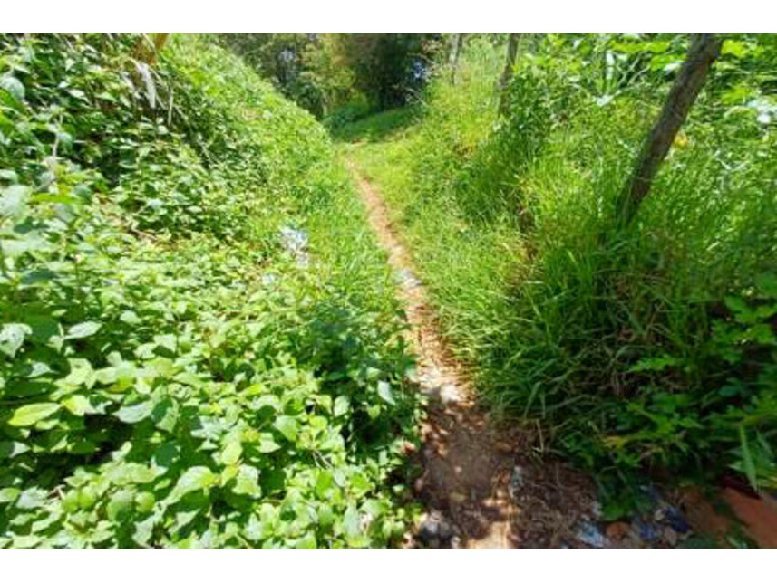 Imagem 4 do Leilão de Gleba de Terras - Parque São Rafael - São Paulo/SP