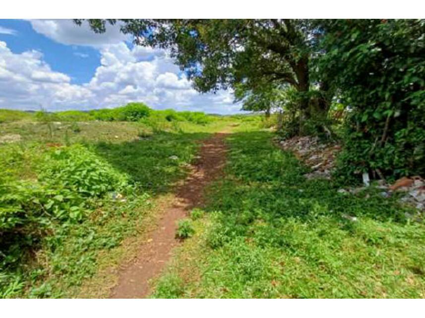 Imagem 6 do Leilão de Gleba de Terras - Parque São Rafael - São Paulo/SP