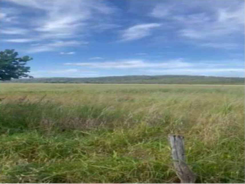 Imagem 7 do Leilão de Fazenda - Zona Rural - Caldas Novas/GO