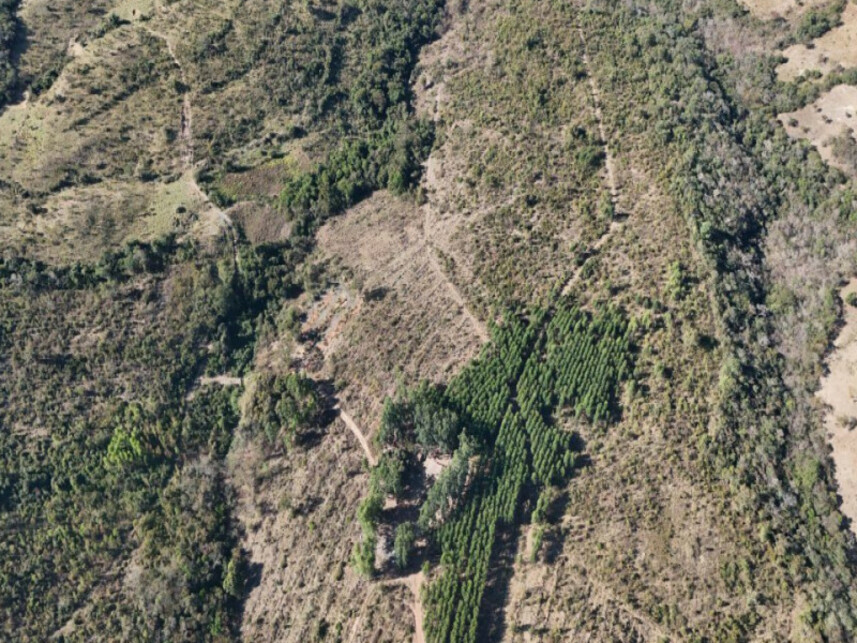 Imagem 3 do Leilão de Área Rural - Zona Rural - Luziânia/GO